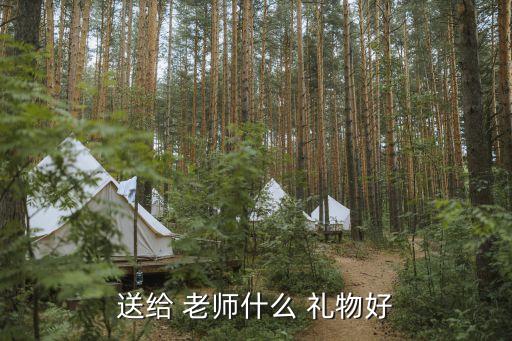 送给 老师什么 礼物好