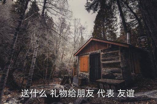 送什么 礼物给朋友 代表 友谊