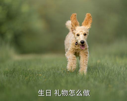  生日 礼物怎么做
