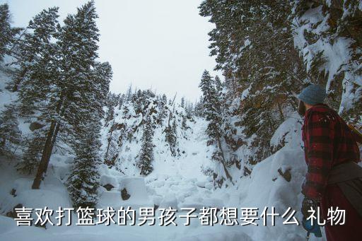 喜欢打篮球的男孩子都想要什么 礼物