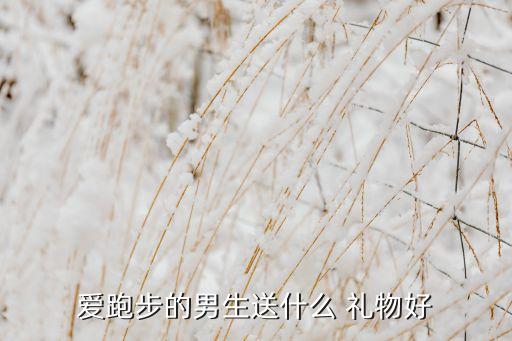 爱跑步的男生送什么 礼物好