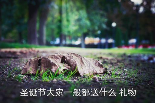  圣诞节大家一般都送什么 礼物