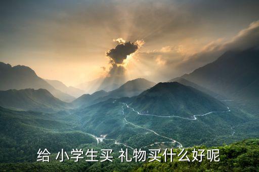 给 小学生买 礼物买什么好呢