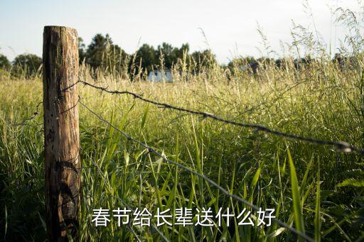  春节给长辈送什么好