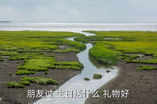 朋友过 生日送什么 礼物好