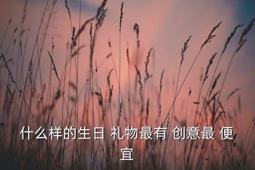 什么样的生日 礼物最有 创意最 便宜