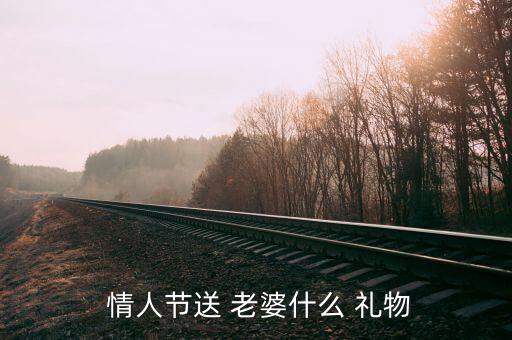  情人节送 老婆什么 礼物