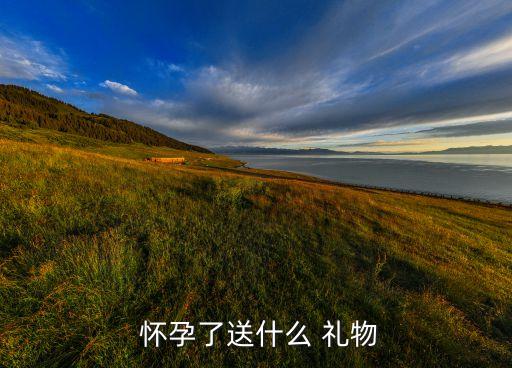  怀孕了送什么 礼物