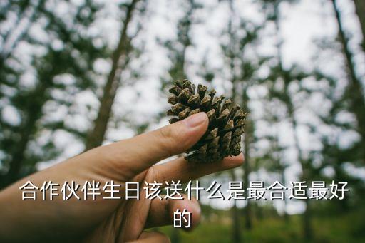  合作伙伴生日该送什么是最合适最好的