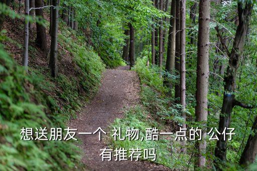 想送朋友一个 礼物,酷一点的 公仔有推荐吗