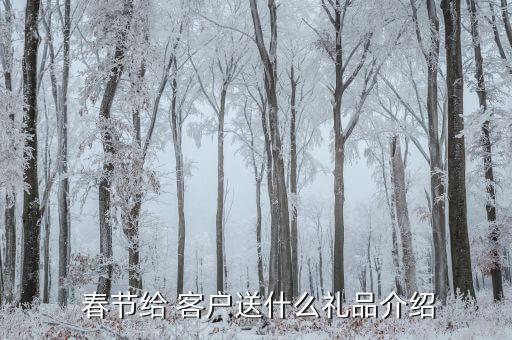  春节给 客户送什么礼品介绍