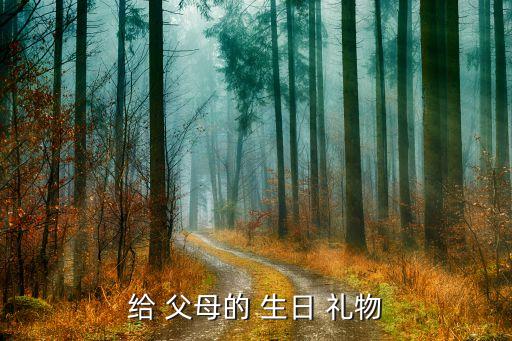 给 父母的 生日 礼物