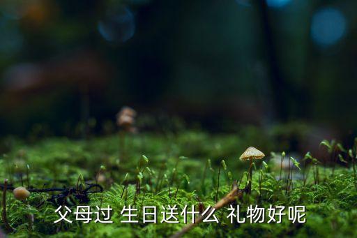  父母过 生日送什么 礼物好呢