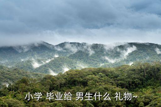  小学 毕业给 男生什么 礼物~