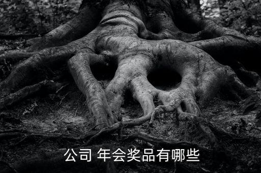  公司 年会奖品有哪些