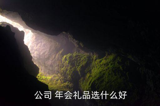  公司 年会礼品选什么好