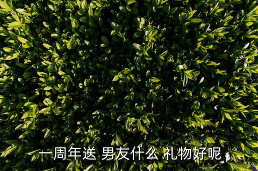  一周年送 男友什么 礼物好呢