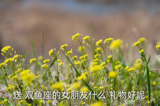 送 双鱼座的女朋友什么 礼物好呢