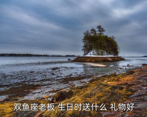  双鱼座老板 生日时送什么 礼物好