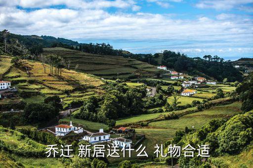  乔迁 新居送什么 礼物合适